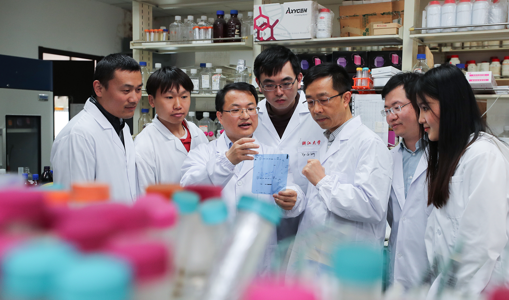 细菌运动器官_细菌运动的器官_细菌运动器官是鞭毛