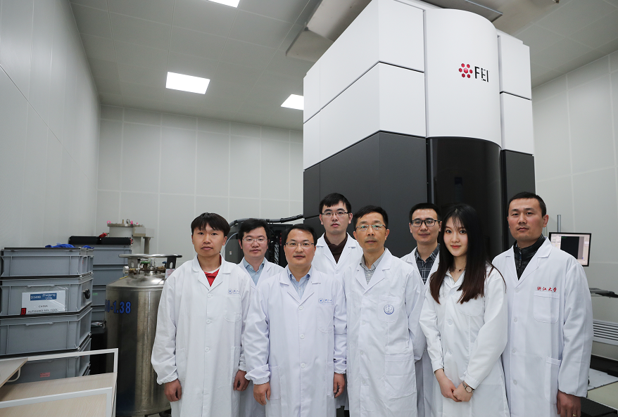 细菌运动器官是鞭毛_细菌运动器官_细菌运动的器官
