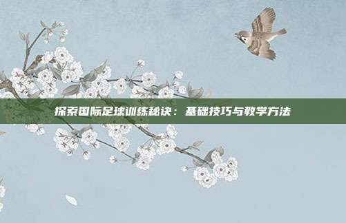 探索国际足球训练秘诀：基础技巧与教学方法