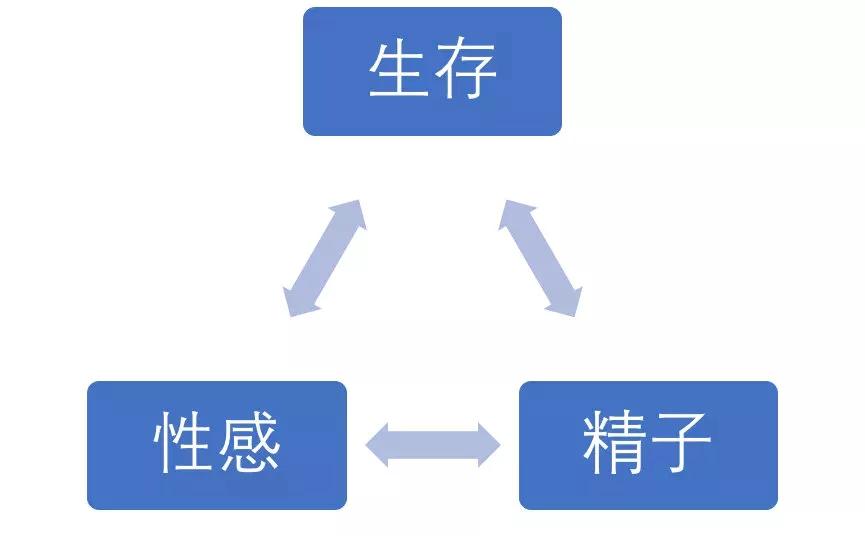 射精影响健身吗_射精健身影响长高吗_射精健身影响怀孕吗