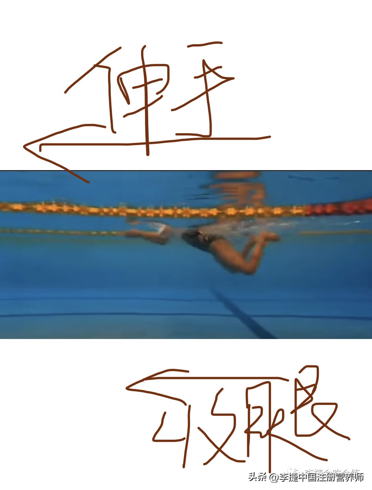 游泳抱腿站立_视频游泳抱腿教程换气技巧大全_游泳换气技巧抱腿视频教程